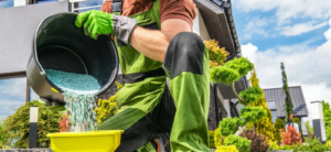 Mount Pleasant Lawn Care | Greener Grass Landscaping