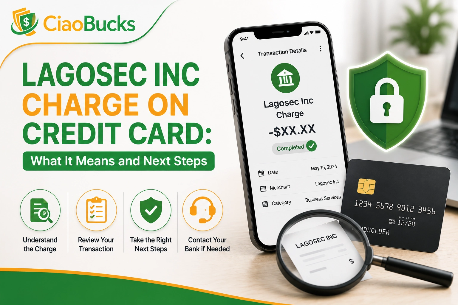 lagosec inc charge on credit card